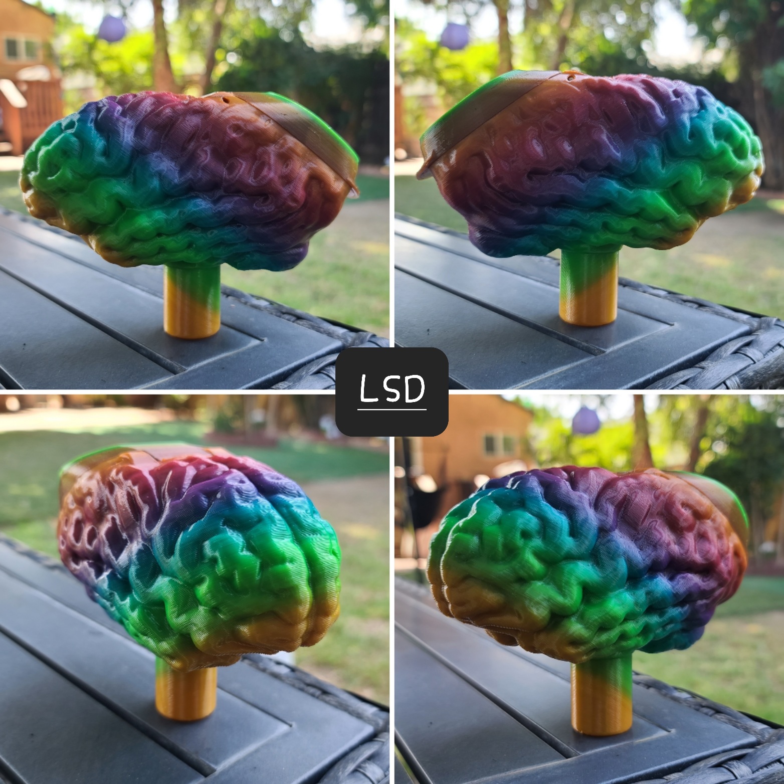 The “BRAIN” JOLO Series LE PaintballDNA